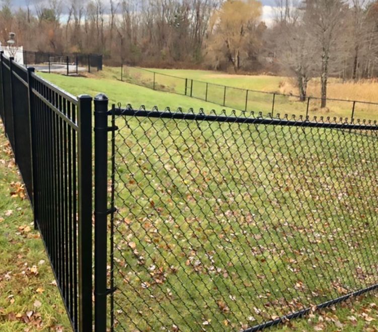 A aluminum fence in Troy, MI in a backyard in by Elite Wood Fencing