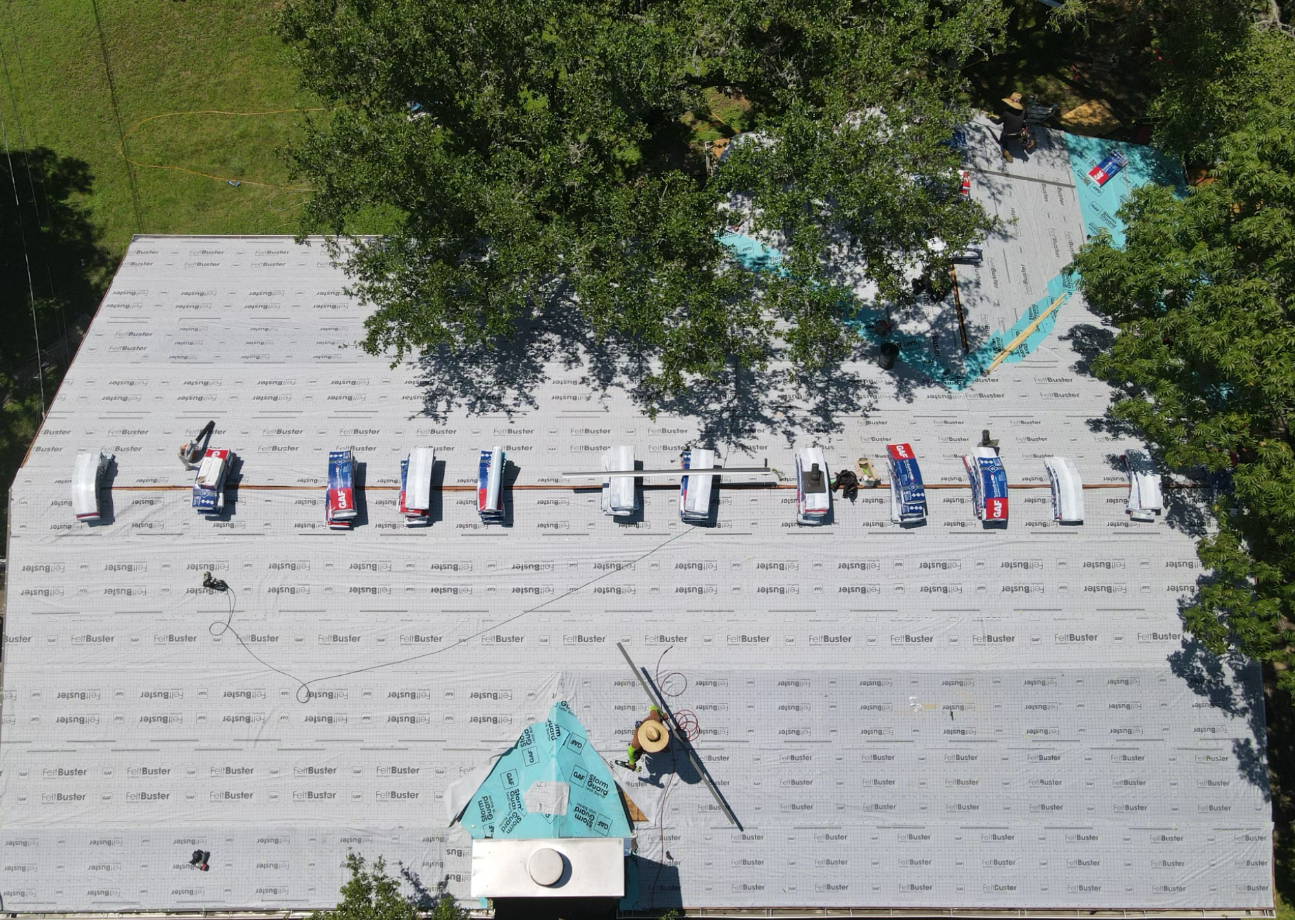 People lined up on a large rooftop deck under trees, with a small turquoise structure at the bottom.