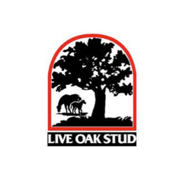 Live Oak Stud Logo