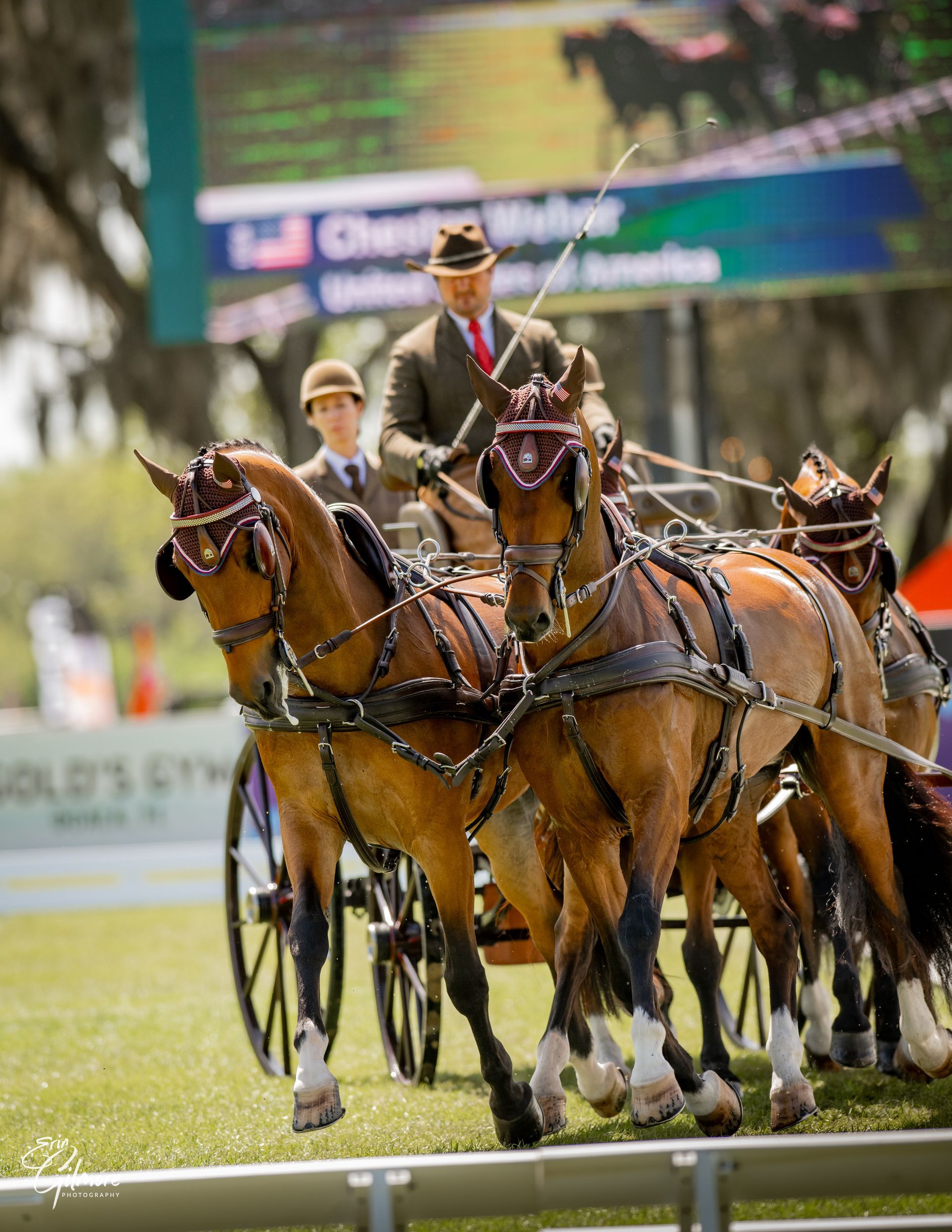 Chester C. Weber Live Oak International