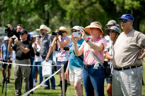 Live Oak International spectators