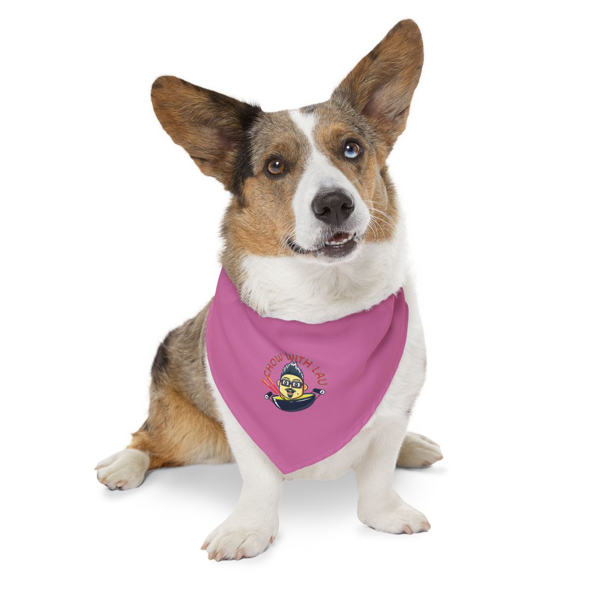 Corgi dog wearing a pink bandana with a cartoon image. Dog is sitting on a white background.