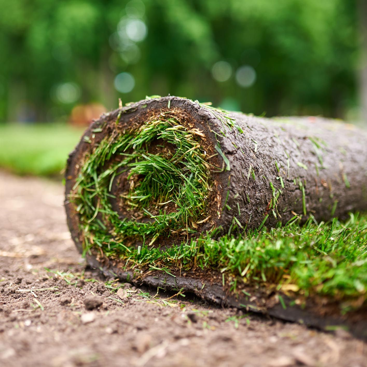 Sod — Ellicott, CO — Schubert’s Sod Depot