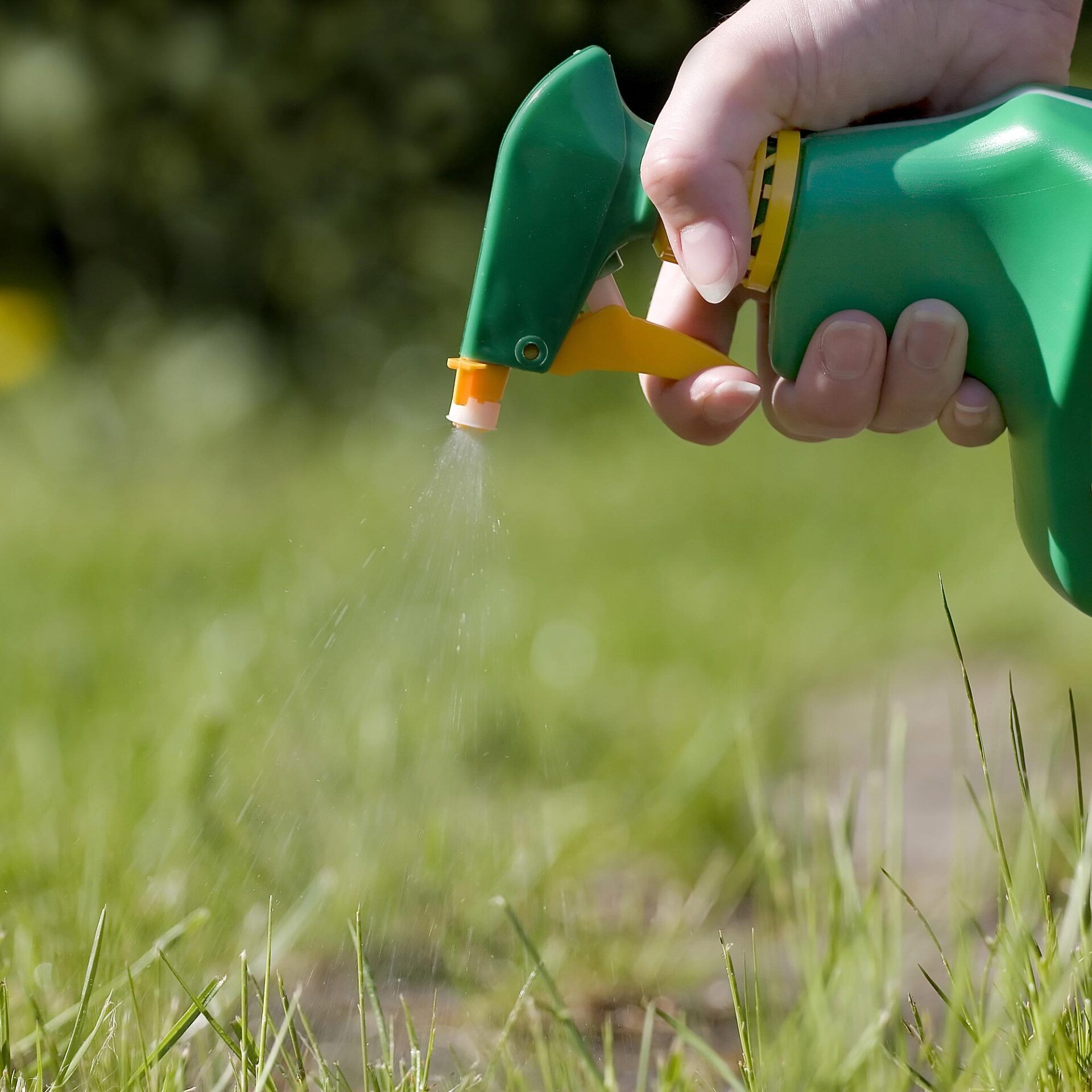 Spraying Pesticide — Ellicott, CO — Schubert’s Sod Depot