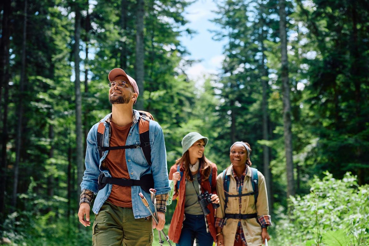 A group of people are walking through a forest.