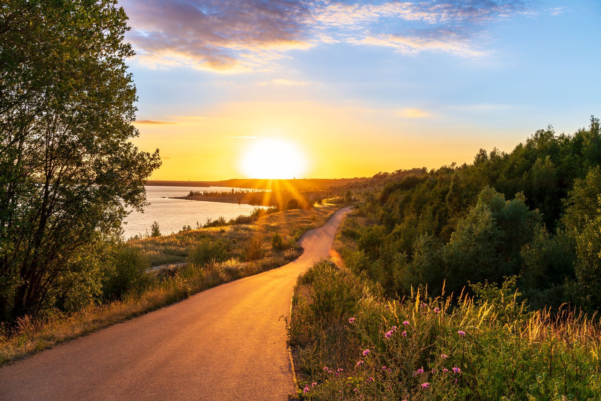 Road leading to a vibrant sunset over a lake, framed by trees and colorful skies.