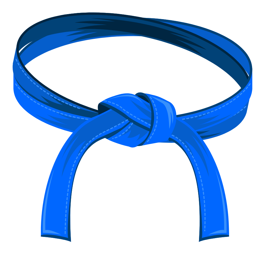 8th Degree Blue Belt - Hachikyu requirements