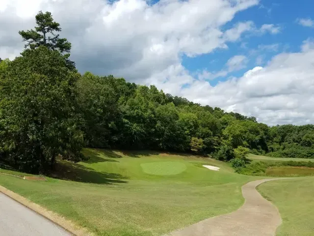 A golf course with trees and a path going through it