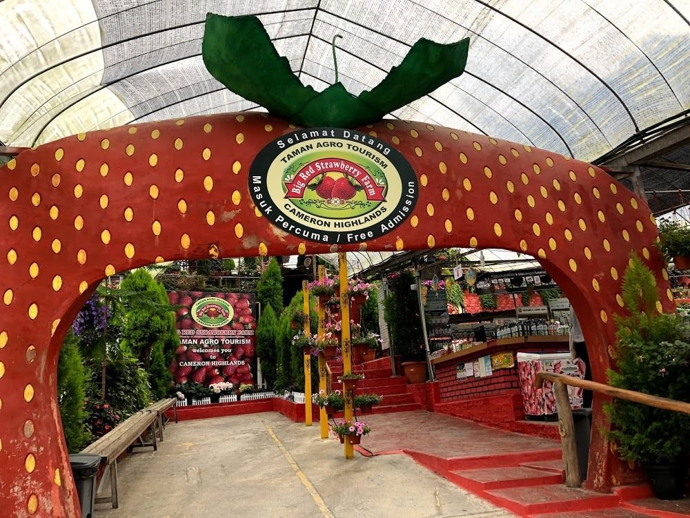 Malaysia Tours 
KL Tour
Kuala Lumpur City Tour
Kuala Lumpur 