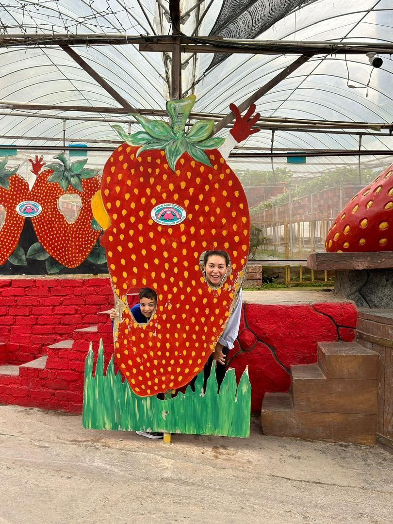 Malaysia Tours 
KL Tour
Kuala Lumpur City Tour
Kuala Lumpur 
