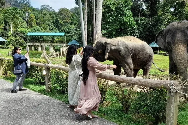 Malaysia Tours 
KL Tour
Kuala Lumpur City Tour
Kuala Lumpur 