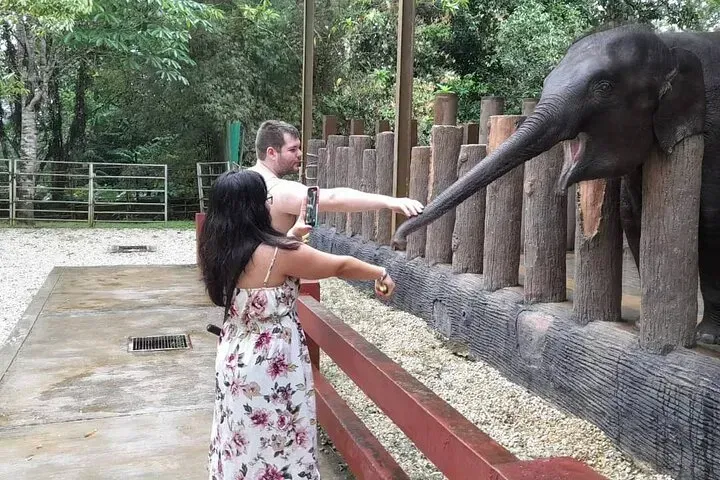 Malaysia Tours 
KL Tour
Kuala Lumpur City Tour
Kuala Lumpur 
