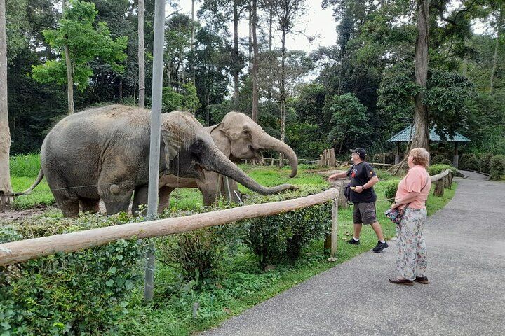 Malaysia Tours 
KL Tour
Kuala Lumpur City Tour
Kuala Lumpur 