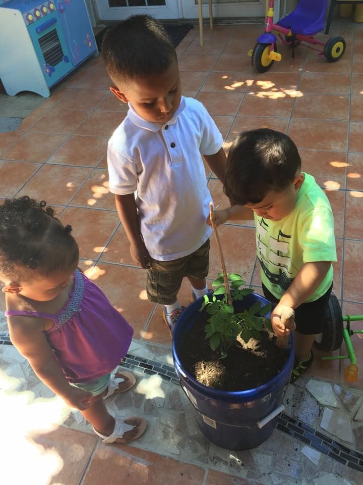 Vicky's Day Care with children planting.