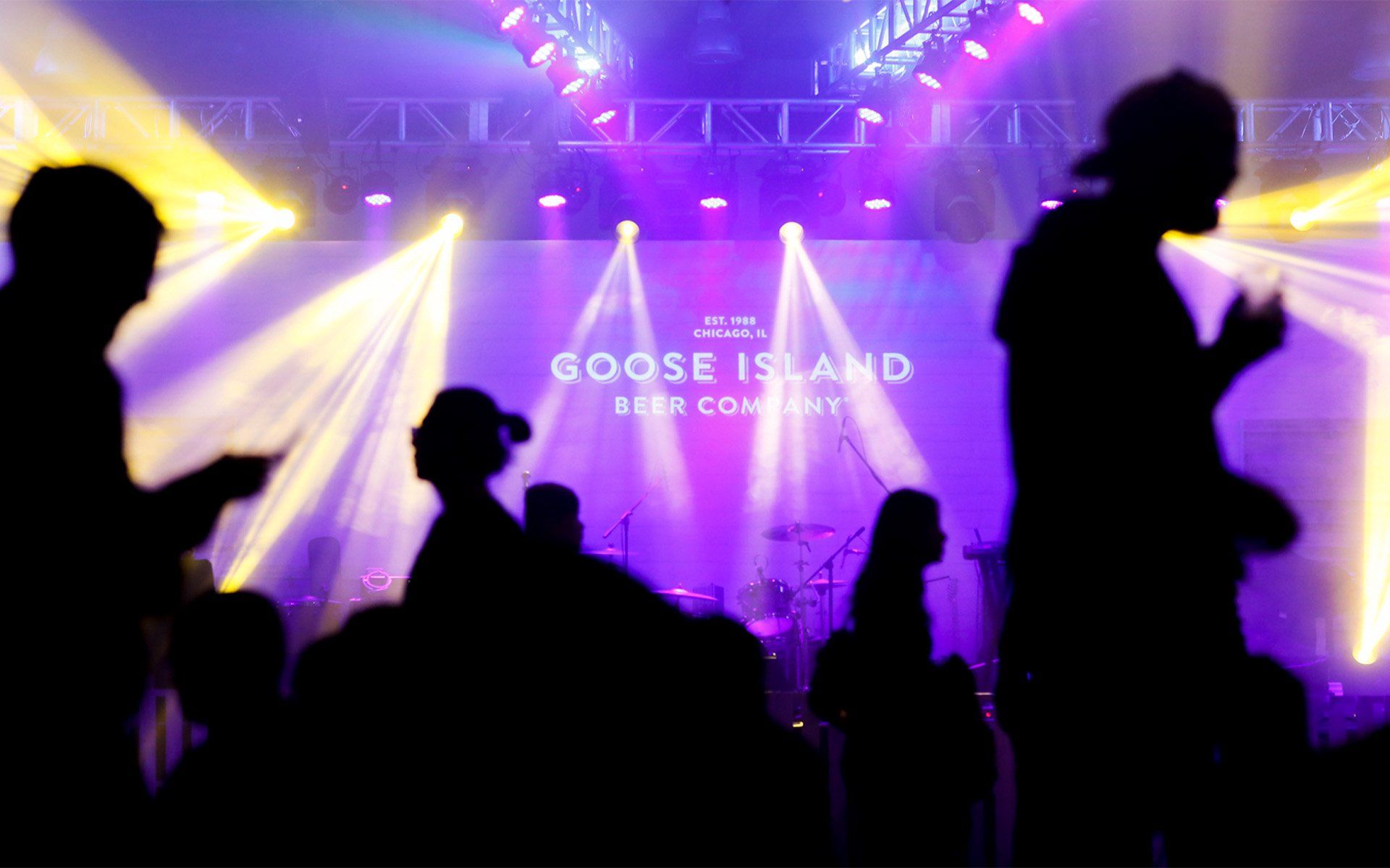 A group of people are standing in front of a stage at a concert.