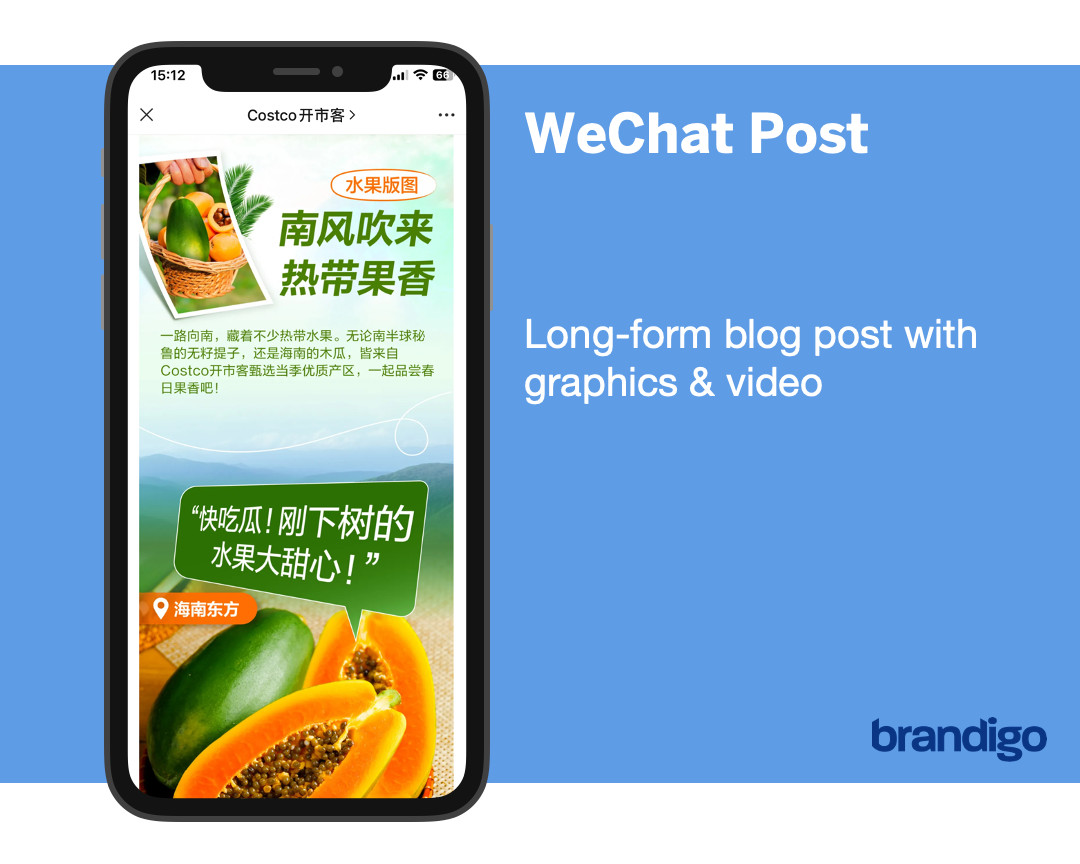A wechat post is a long-form blog post with graphics and video.