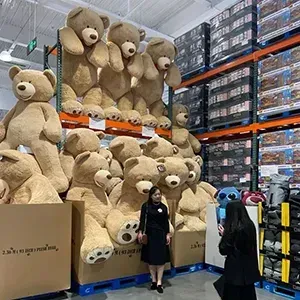Costco bears