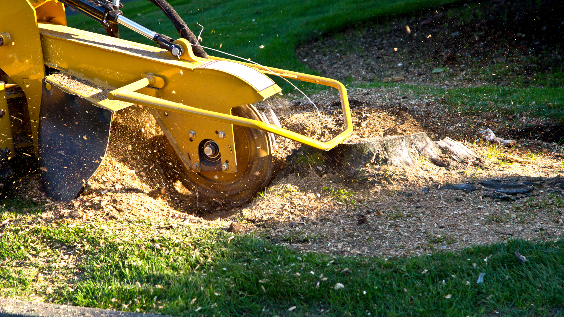 A yellow stump grinder is cutting a tree stump in the grass.