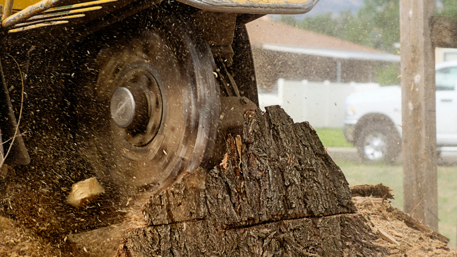 A stump grinder is cutting a tree stump.