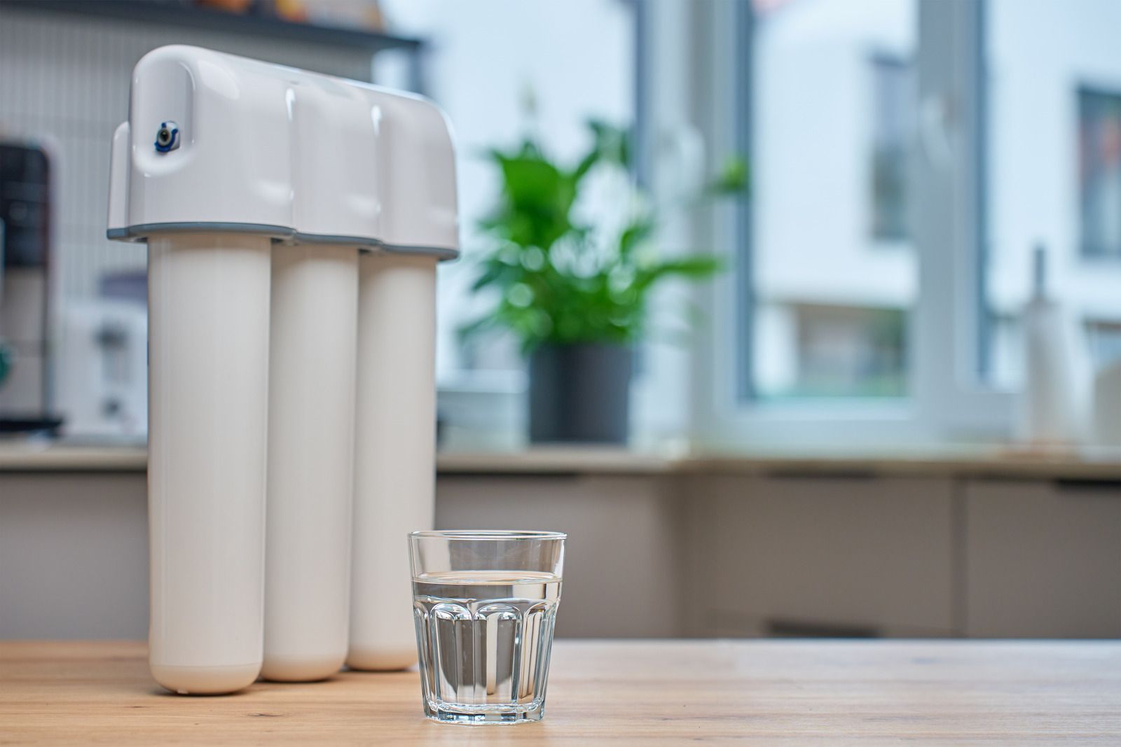 White countertop water filter beside a clear glass of water on a kitchen counter, with a window and plant in the background