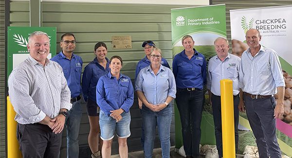 Dr. Kristy Hobson GRDC Award — Chickpea Breeding Australia in Tamworth, NSW
