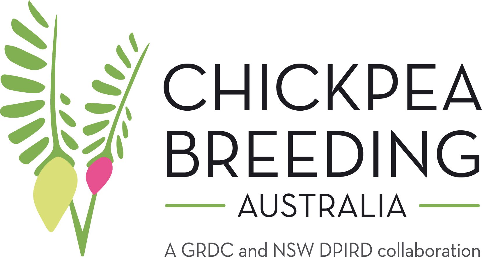 Chickpea Breeding Australia Run a Chickpea Management Program in Tamworth