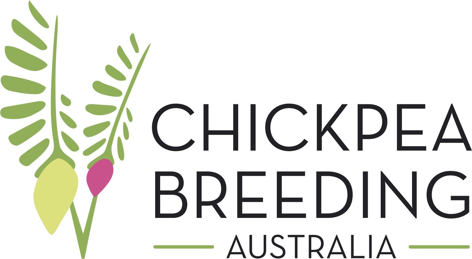 Chickpea Breeding Australia Run a Chickpea Management Program in Tamworth