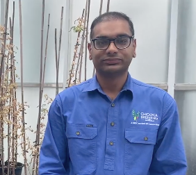 Dr Ahsan — Chickpea Breeding Australia in Tamworth, NSW