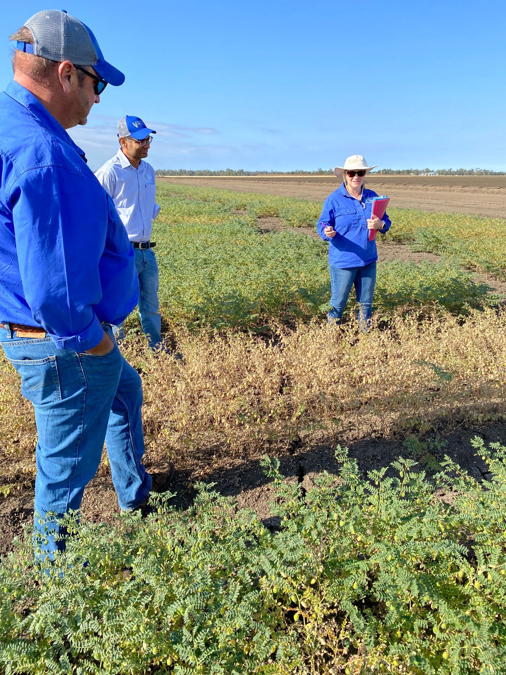 Jar Full of Chickpeas  — Contact Us in Tamworth, NSW