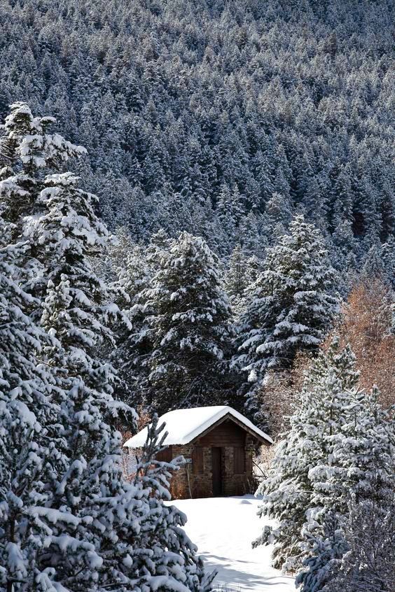 Una cabaña en medio de un bosque nevado montañas andorra invierno nieve