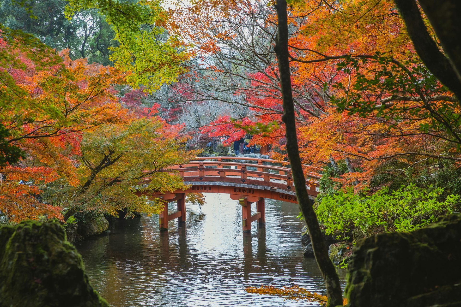 Un puente sobre un río rodeado de árboles con hojas otoñales. en japon otoño con hojas de colores