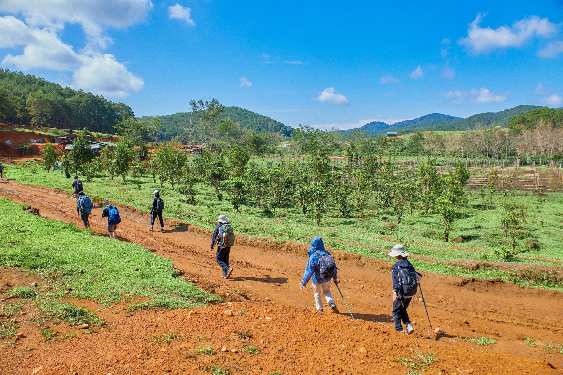 Un grupo de personas camina por un camino de tierra en un campo.