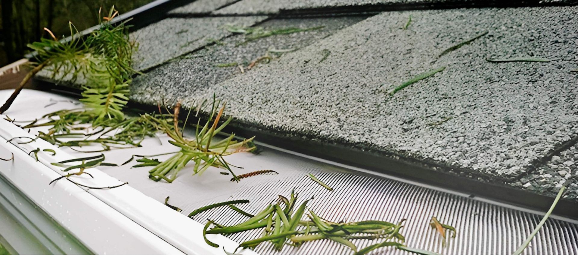 A person is cleaning a gutter of leaves from a roof.