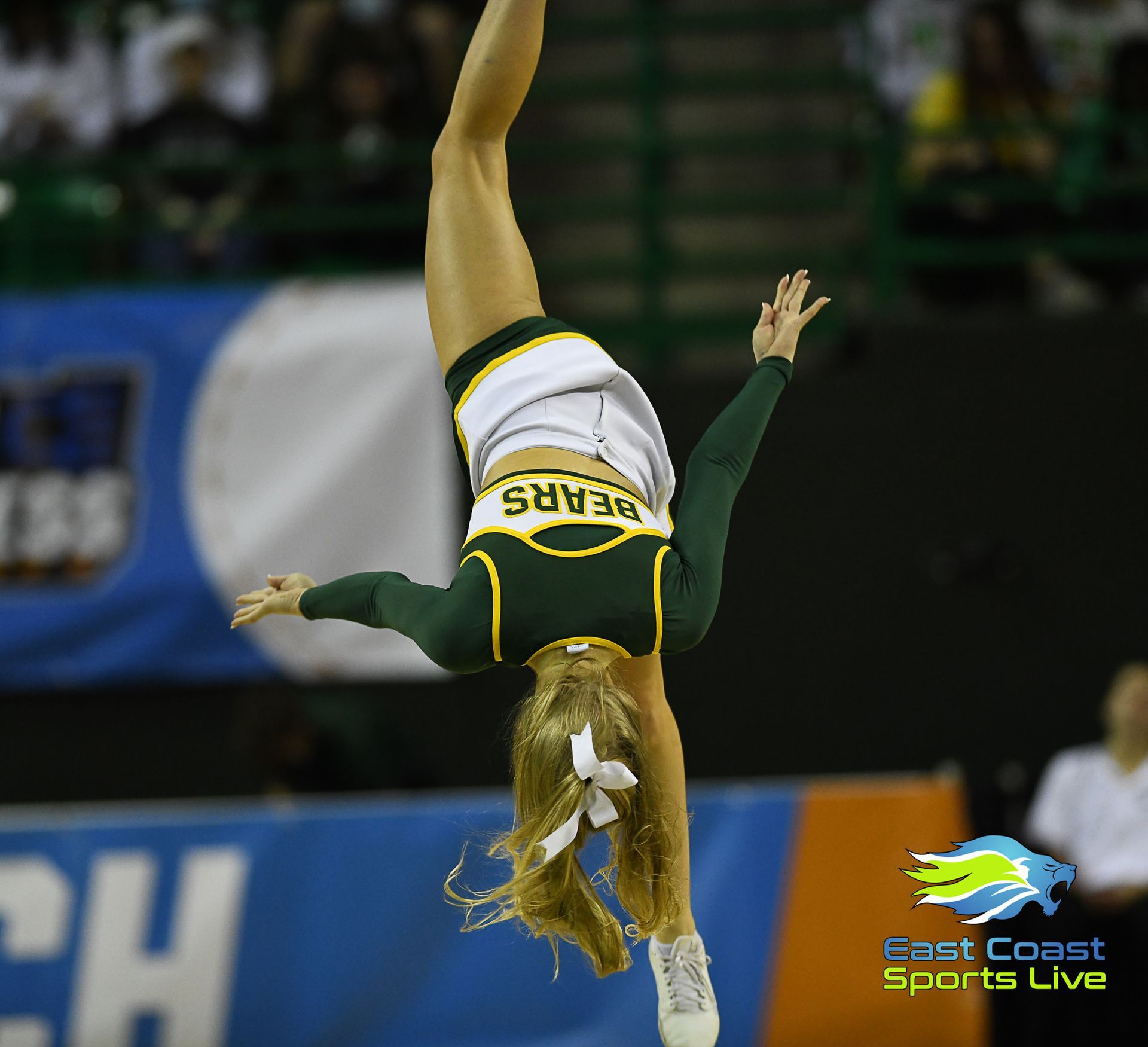 A cheerleader for the bears is doing a handstand in the air