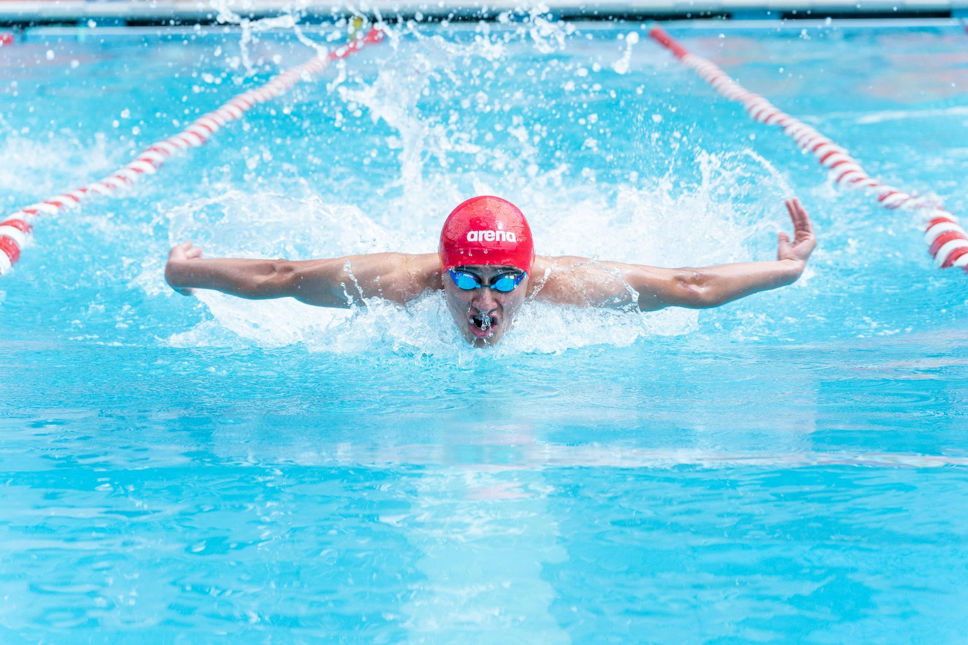 A man is swimming in a butterfly stroke in a swimming pool.