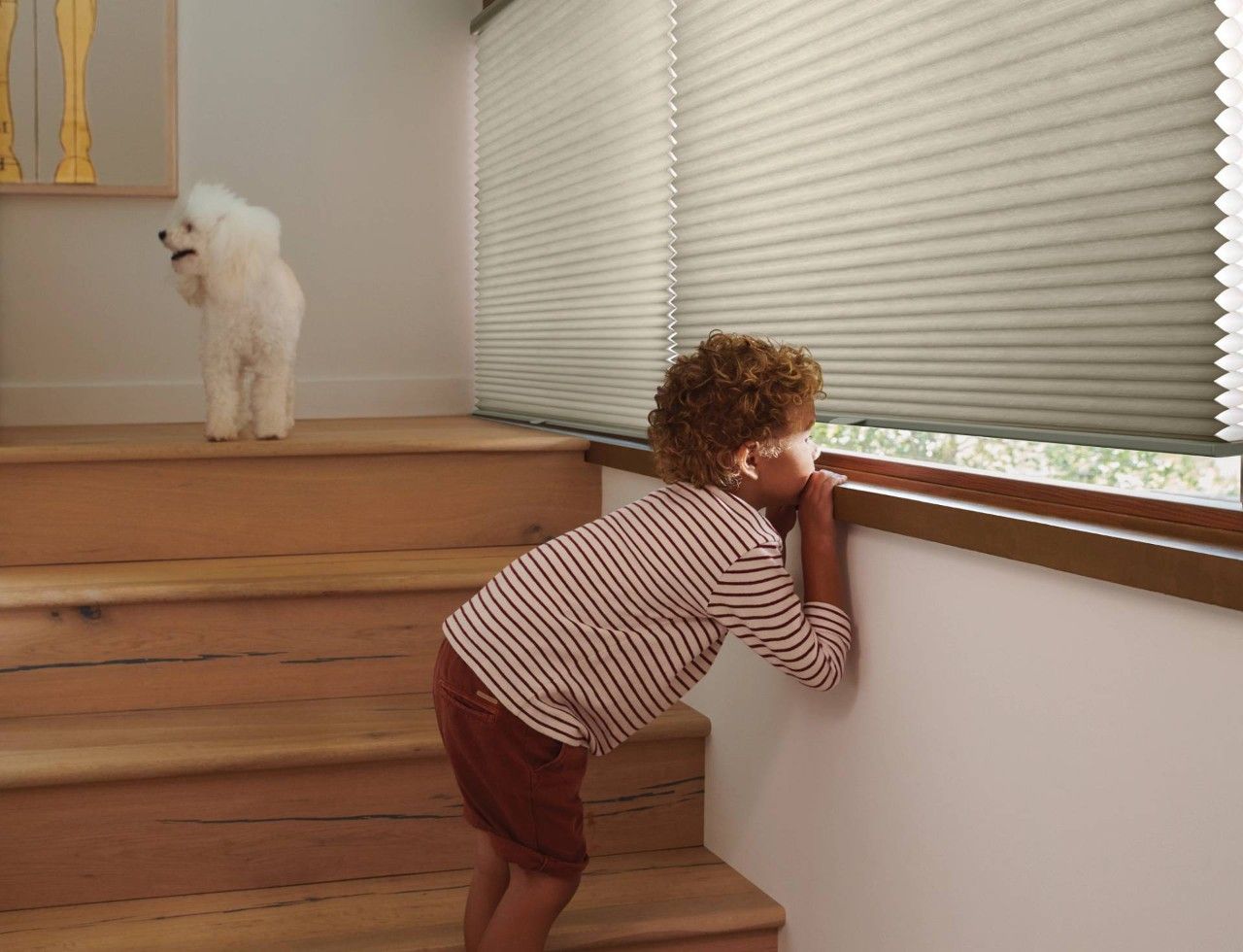 A little boy is looking out of a window with a dog in the background.