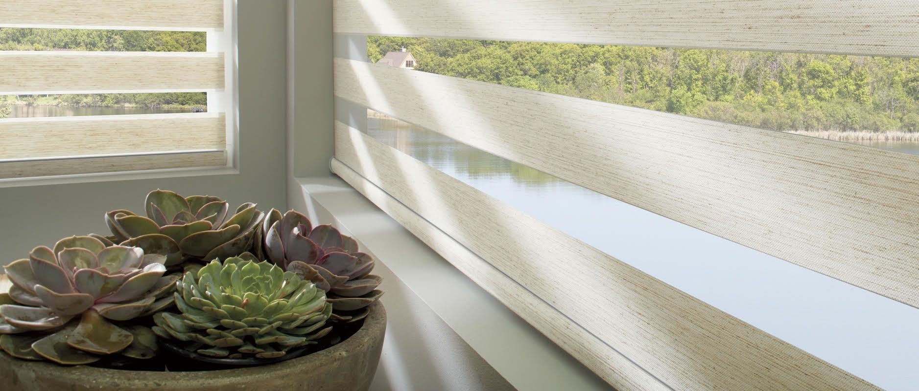 A potted plant is sitting on a window sill next to a window with blinds.