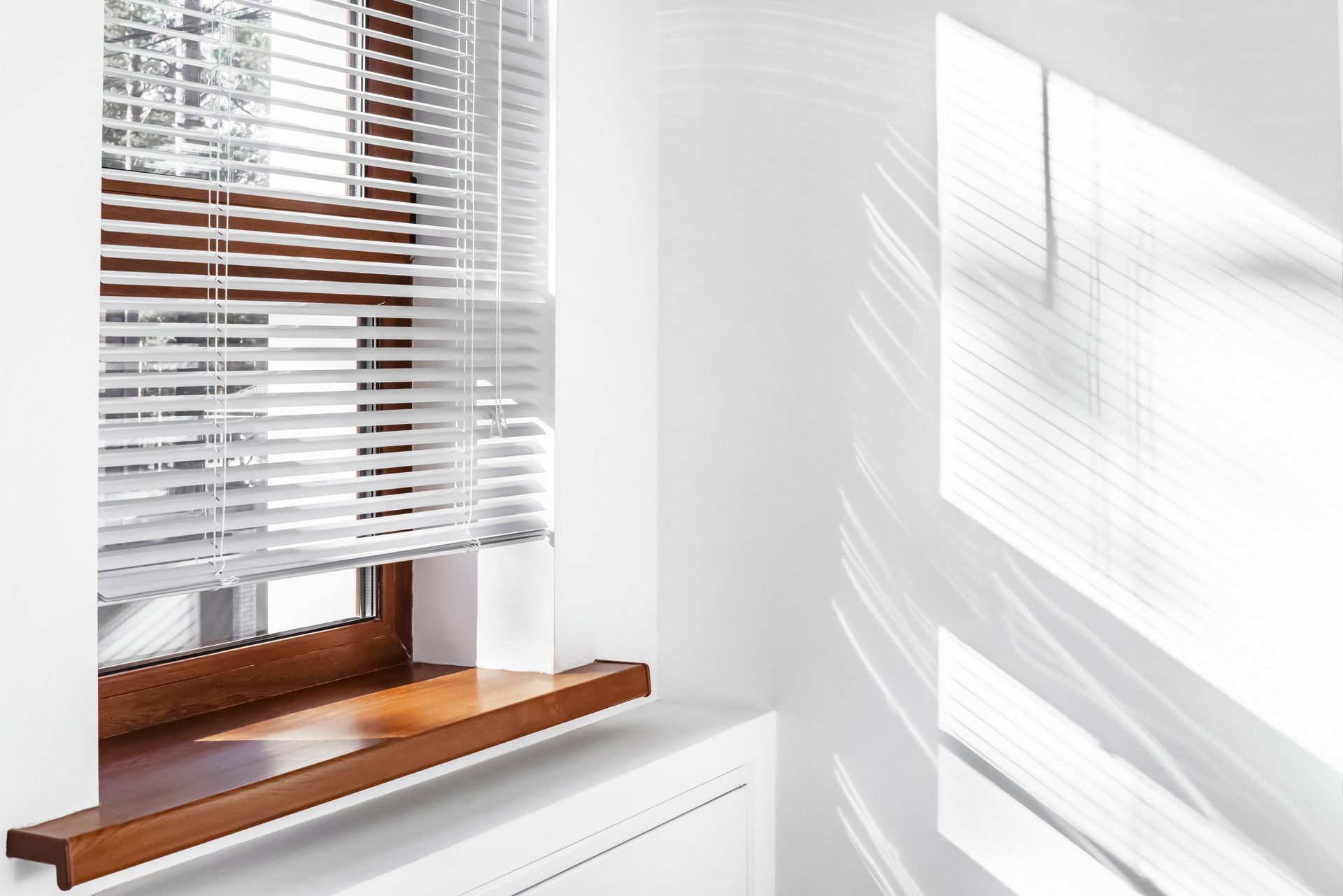 White venetian blinds on a wood-frame window at Blind & Shutter Gallery near Nashville, Tennessee