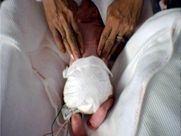 A person is holding a white object in their hands.