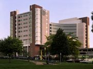 A large building with a lot of windows is surrounded by trees and grass.