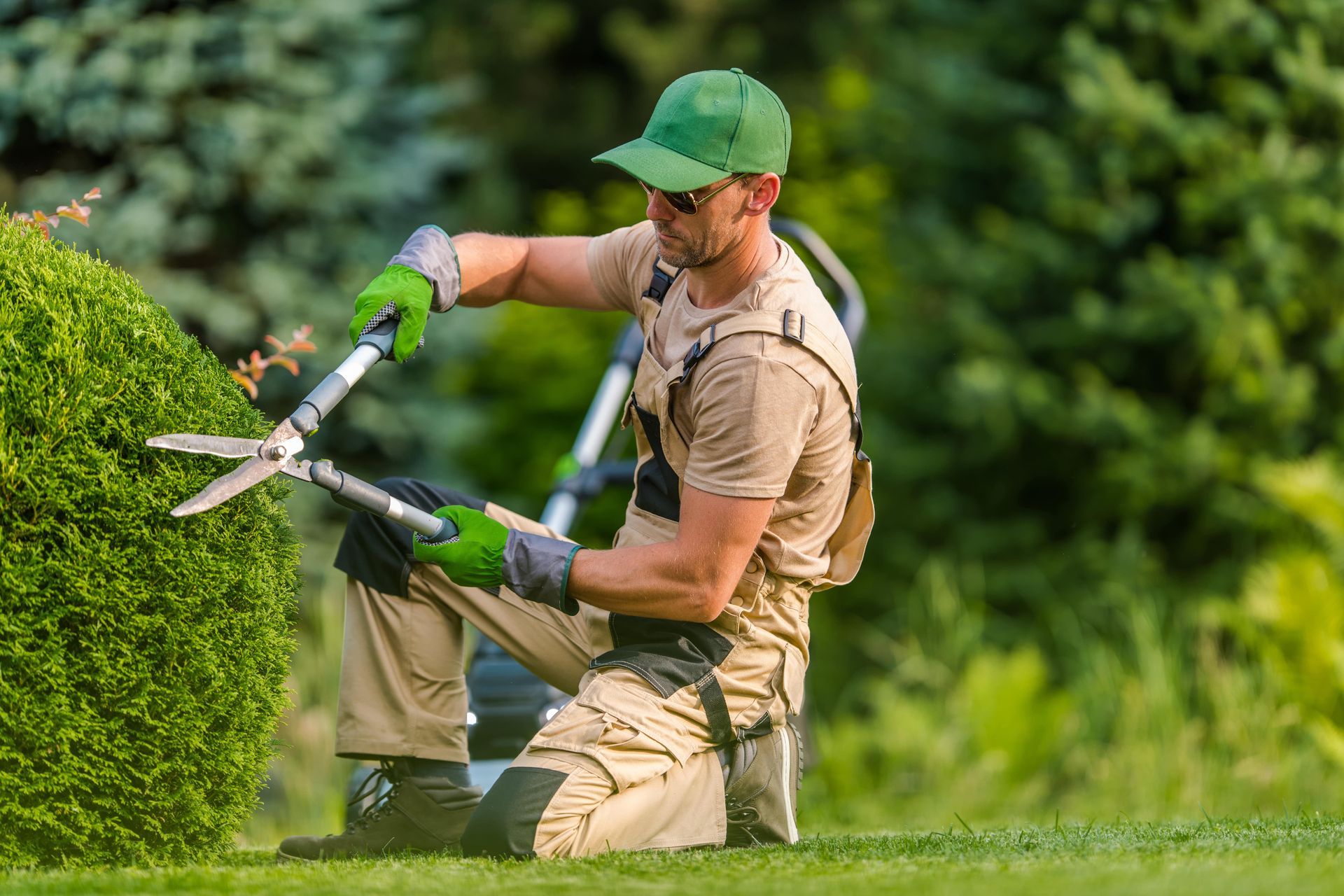 Worker trimming hedges for softscaping.
