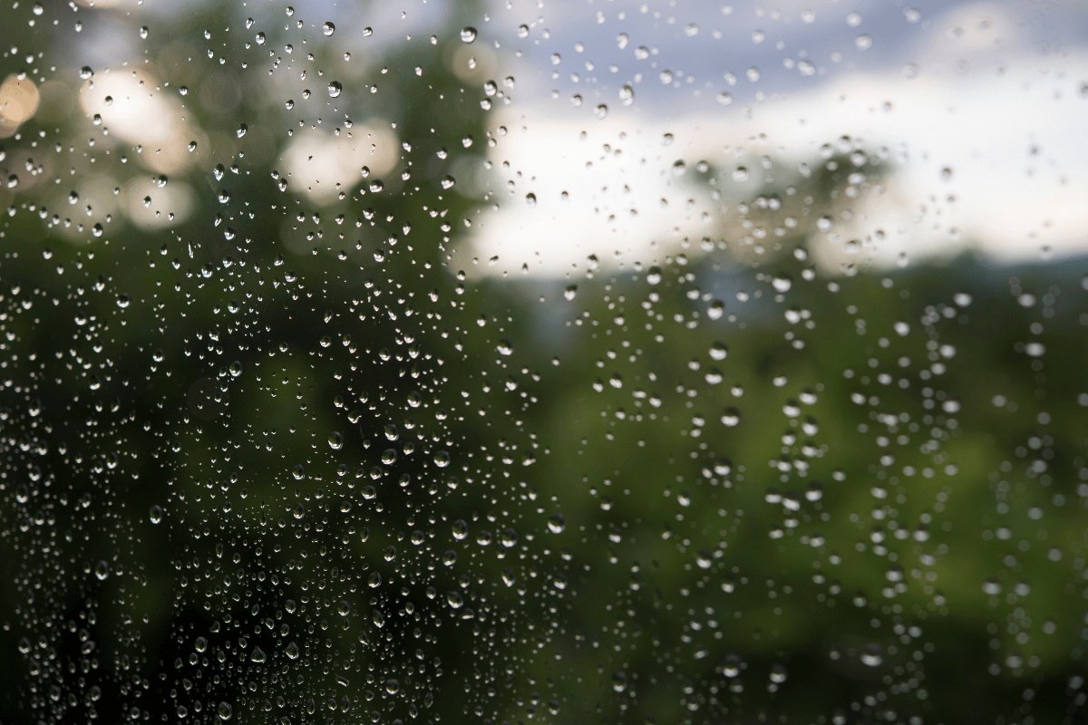 Raindrops on a window with blurred green trees and sky in the background.