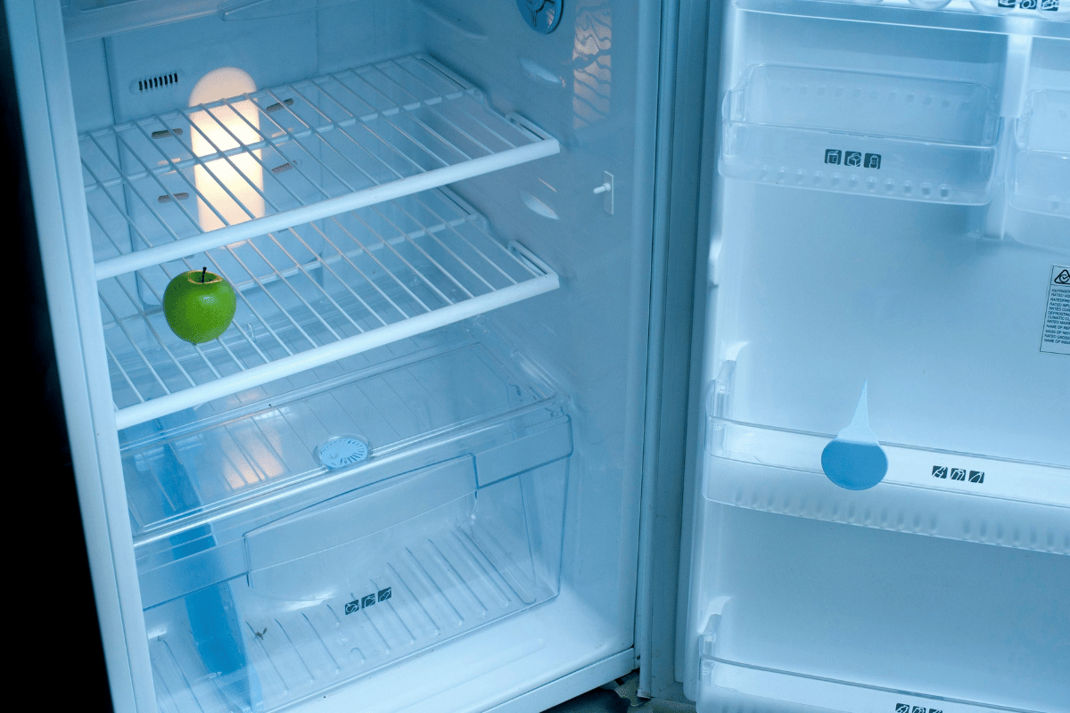 Open empty refrigerator; single green apple on middle shelf.