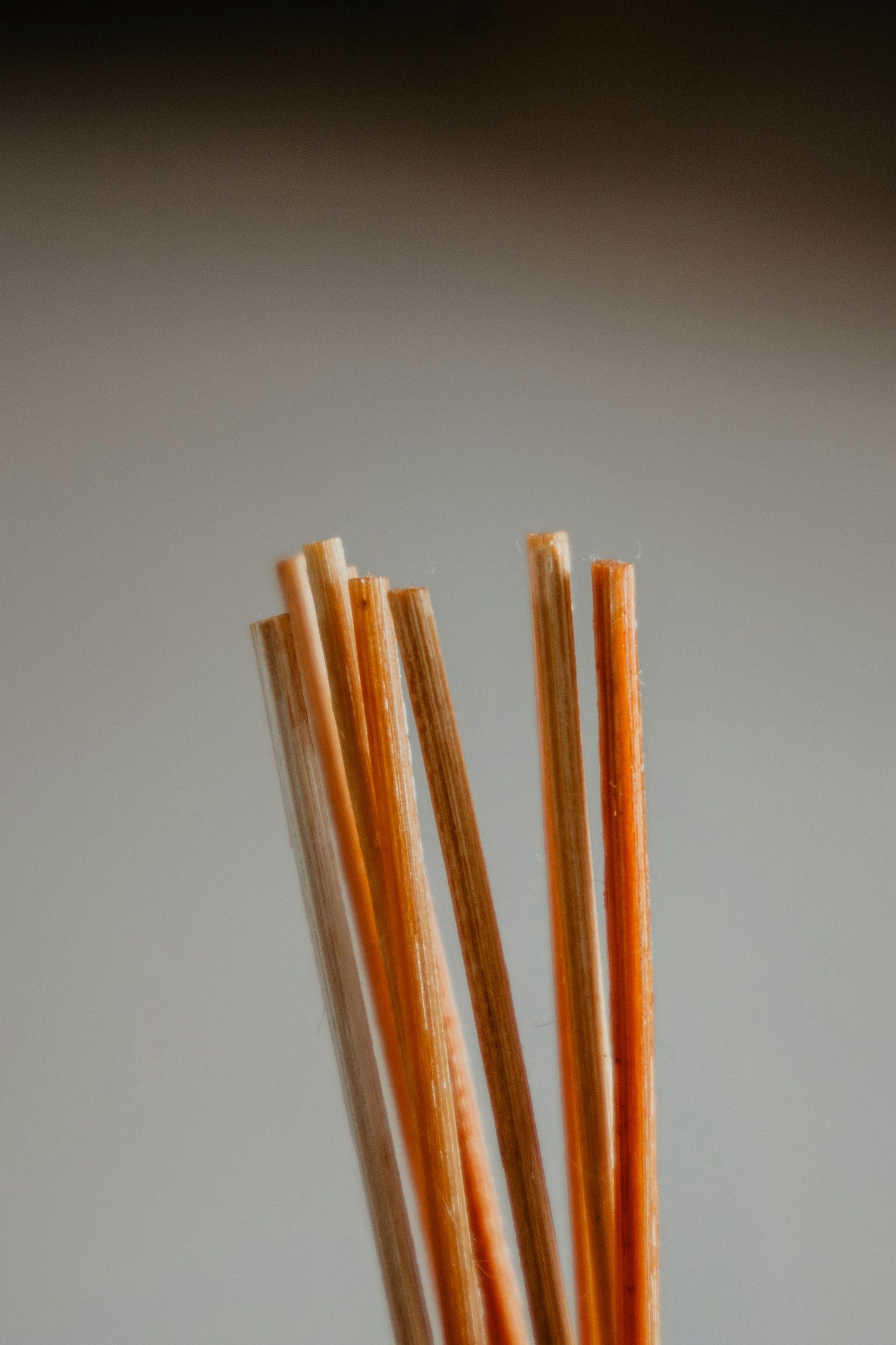 Sandalwood Essential Oil