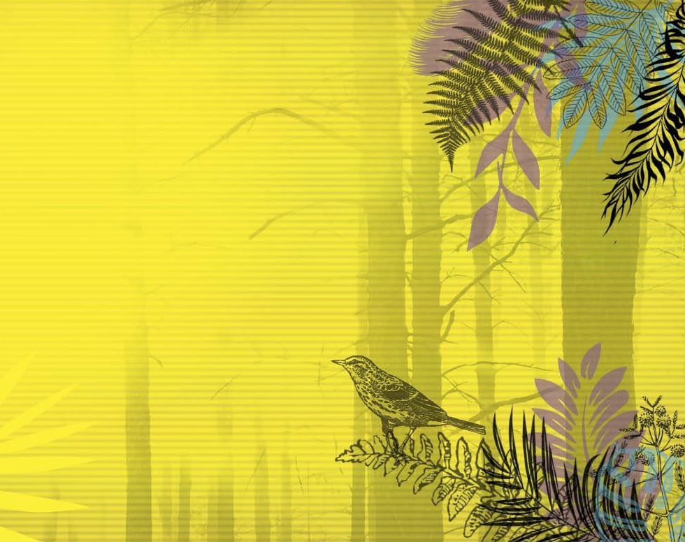 MaLisa Foundation, MaLisa Stiftung, presentation cover for study, “Climate Change and Biodiversity: What does television show – what do viewers want?” („Klimawandel und Biodiversität: Was zeigt das Fernsehen – Was wollen die Zuschauer*innen?“)