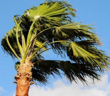 Wind Mitigation Inspection Cape Coral, FL