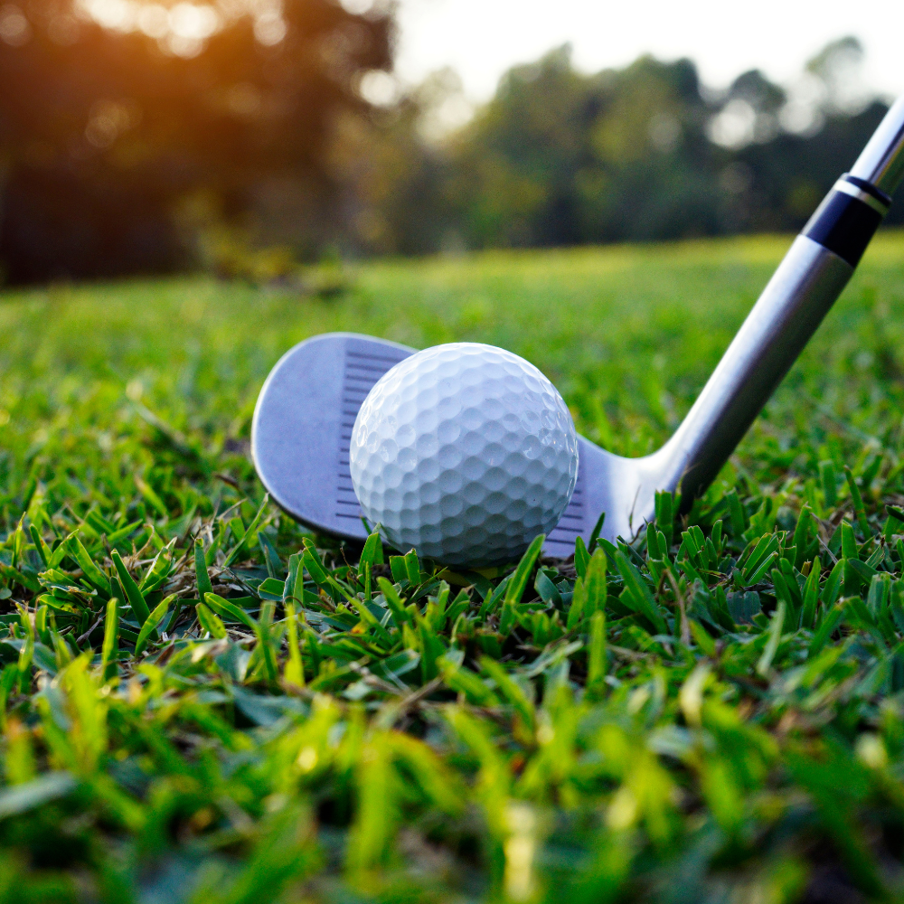 golf club resting behind golf ball on the grass, ready to take a shot