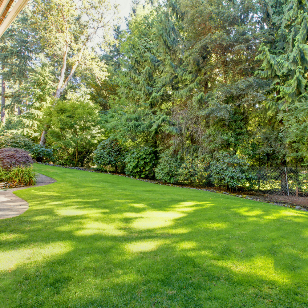 a backyard with plenty of room for mobile golf co to set up