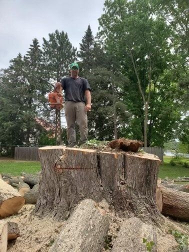 Worker Cutting Tree — Gillett, WI — Casey’s Tree Service
