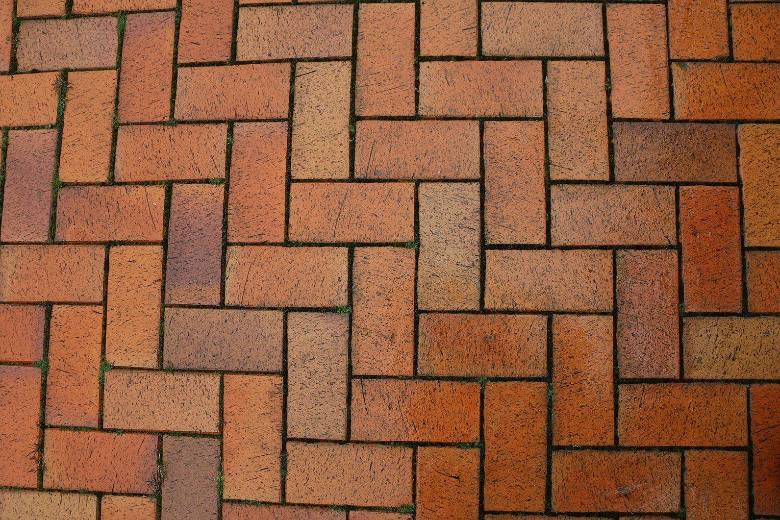 Foundation Repair l Knoxville, TN l DMD Masonry, LLC